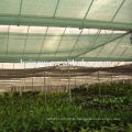 Agricultural Green Shade Net For Vegetable And Fruit